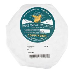 Sequatchie Cove Coppinger 2024