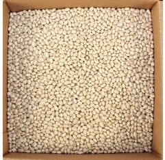 Premium Navy Beans