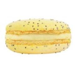 Duverger Passion Fruit French Macaron