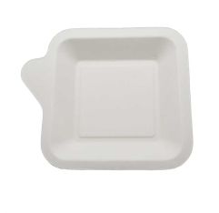 Belix Sugar Cane Plate