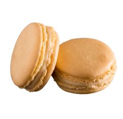 Alon's Vanilla Macaron