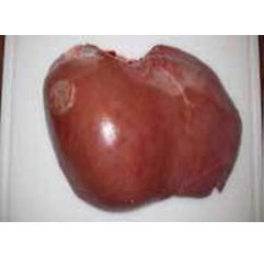CATELLI Veal Liver