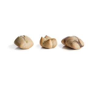 Classic City Assorted Farmhouse Rolls