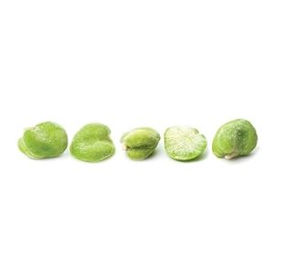White Toque Fava Beans Peeled