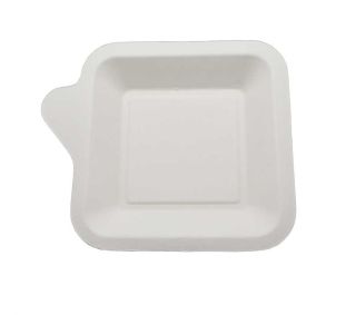 Belix Sugar Cane Plate