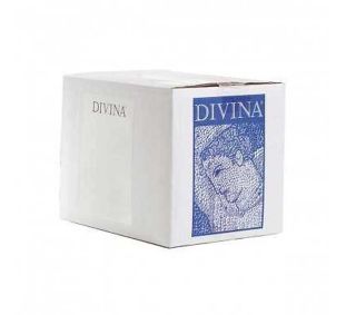 Divina Giardiniera Chopped