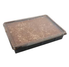 Sapienza Tiramisu