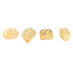 Eurobake Assorted Banquet Rolls Thaw & Serve