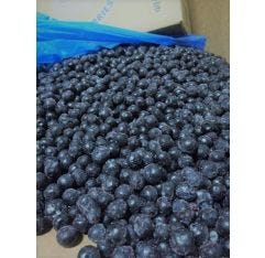 Farmer John Blueberries Cultivated