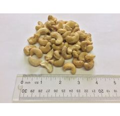 Long Son Joint Stock Raw Cashews