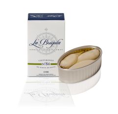 La Brujula Squid